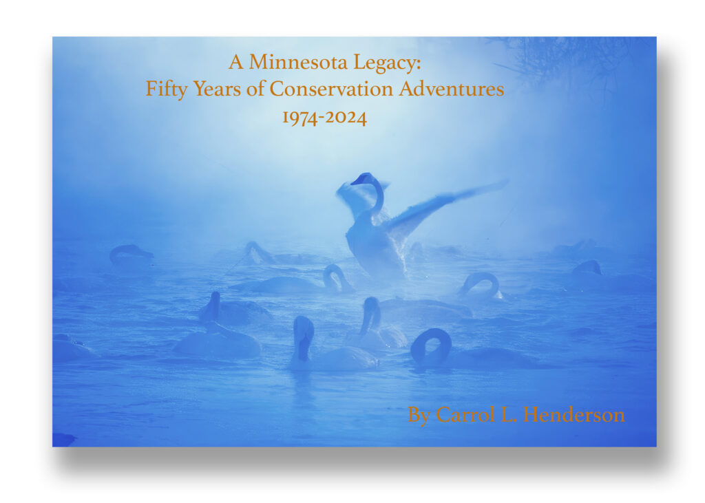 A Minnesota Legacy book cover with swans in a misty blue lake scene