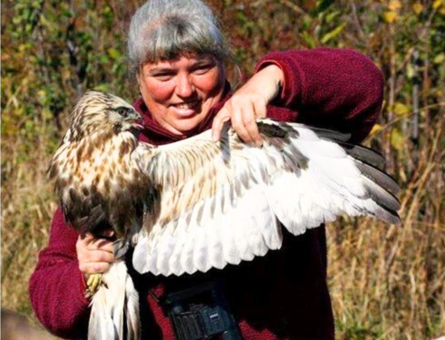 Detroit Lakes Festival Of Birds - Visit Detroit Lakes