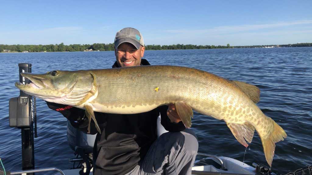 Man holding a trophy size muskie