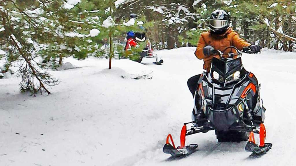 Two snowmobilers on a snowy wooded trail revving up sports & recreation