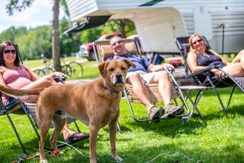 Campers lounging on lawn chairs with their dog