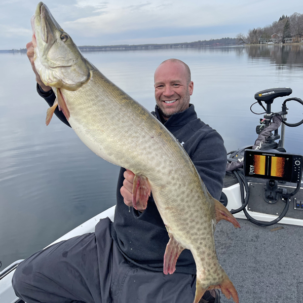Fisherman holds huge muskie from Detroit Lakes area lake with details in area fishing report