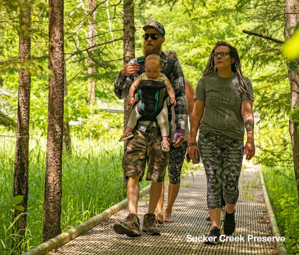 Couple with toddler hike on a marshy boardwalk at Sucker Creek Preserve as they follow the trails in Detroit Lakes