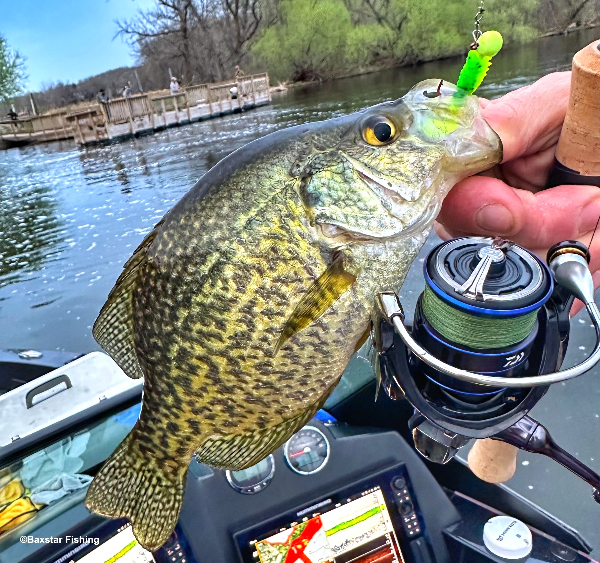 Closeup of a panfish caught from the boat